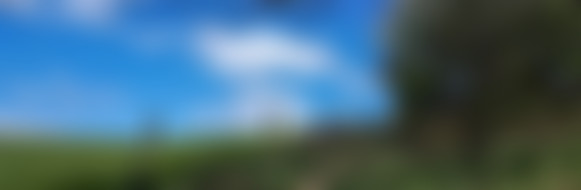 Bergauf zurück nach Pluwig