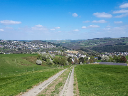 Fernblick im oberen Ruwertal