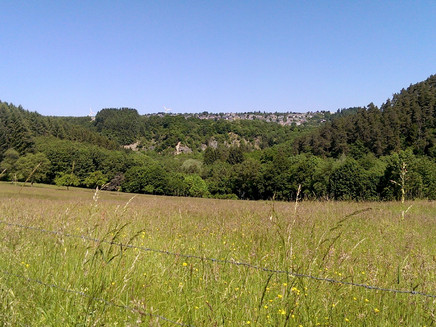 Ausblick auf Gusterath