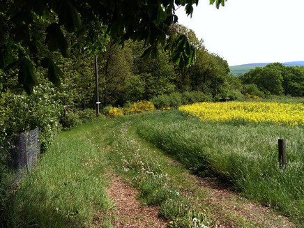 Entlang des Panoramaweges