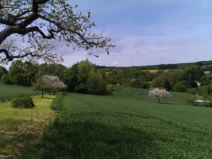 Entlang des Pluwiger Panoramaweges