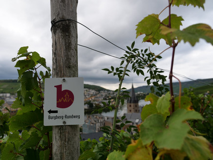 Signage along the route