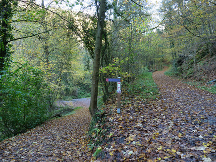 Abzweigung zum Wasserfall (mit dem Kinderwagen diesen Zwischenstopp auslassen=