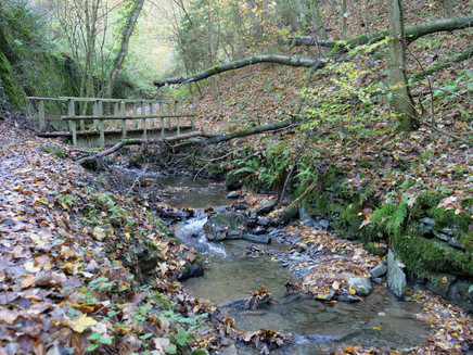 Bachlauf entlang des Weges