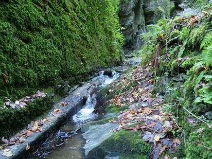 Bachlauf im Tiefenbachtal