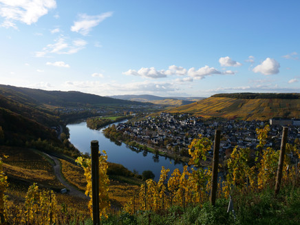 Ausblick von der Burg in Richtung Kues