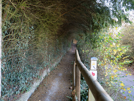 Weg zur St. Anna Kapelle