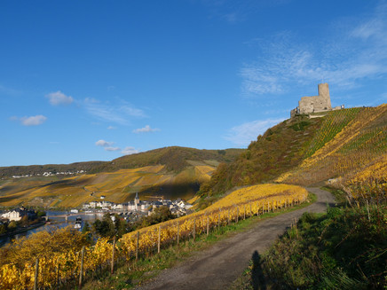 Blick auf Bernkastel und die Burg beim Abstieg