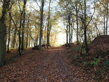Horgas path towards Zell-Barl