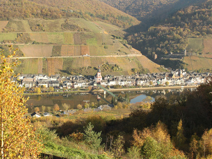Horgas circular route with view of Zell (Mosel)