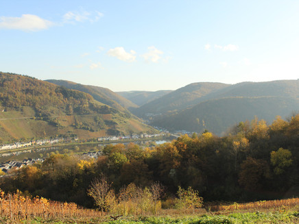 Horgas circular route with a view of Zell (Mosel)