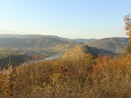 Horgas circular route Zell-Barl, view at Schwanzhütte