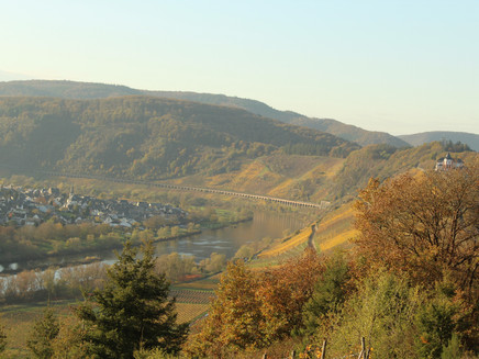 Horgas circular route Zell-Barl, Marienburg and Pünderich