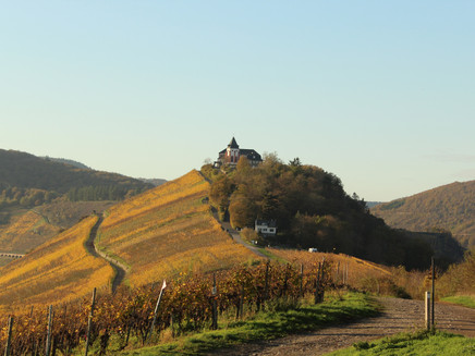 Horgas circular route Zell-Barl with view of the Marienburg
