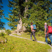 Wanderer auf dem Schnitzlerweg Axalp
