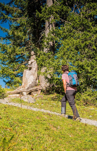 Wanderer auf dem Schnitzlerweg Axalp