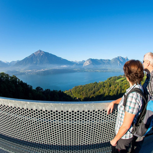 sigriswil-panorama-bruecke-niesen-sommer-thunersee