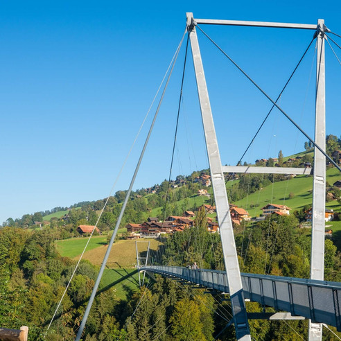 sigriswil-panorama-bruecke-sommer-waelder