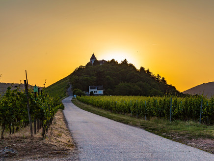 Marienburg Rundwandweg Zeller Land