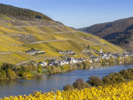Marienburg Rundwandweg Zeller Land