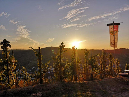 Stein & Wein Panorama am Aussichtspunkt