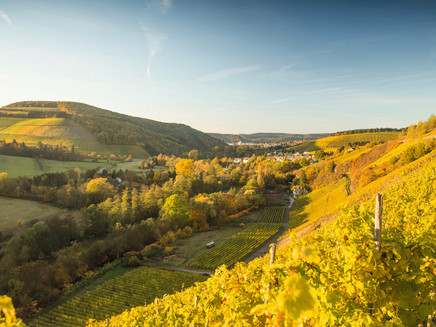 View into the lower Ruwer Valley