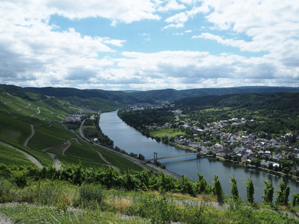 Ausblick entlang des Weges aufs Moseltal