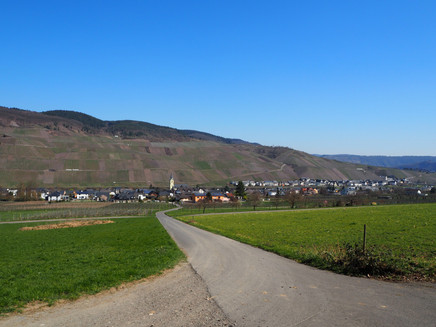 Blick auf den Ort Lösnich und die Weinberge