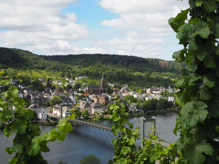 Ausblick auf Wehlen und die Hängebrücke
