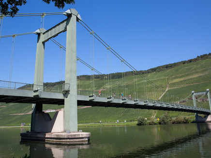 Hängebrücke bei Wehlen