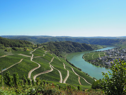 View panorama road near Piesport