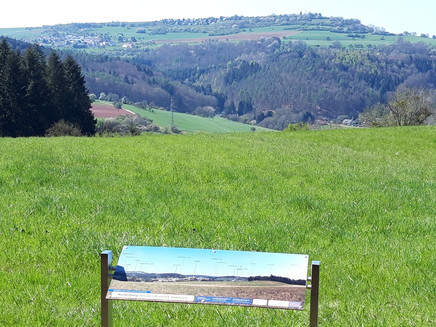 Kruterberg mit Blick auf Saarburg