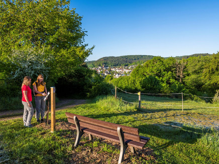 Aussichtspunkt Leuktal