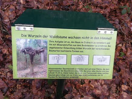 Wald und Boden (2)