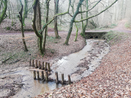 Informationspavillon Wald und Wasser (1)