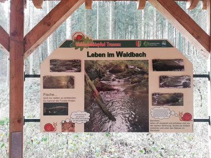 Informationspavillon Wald und Wasser (2)