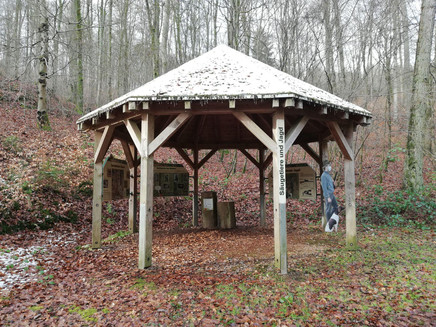 Säugetiere und Jagd (1)