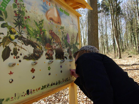 Wingst Familienerlebnisweg