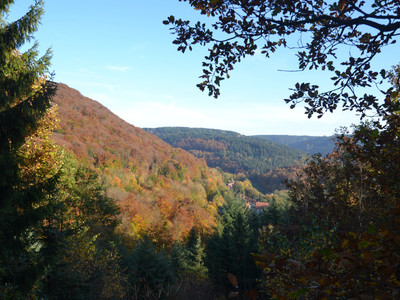 Bad Grund - from the Weltwald towards Iberg