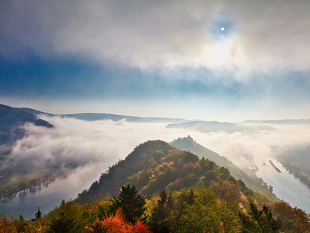 View from the Prinzenkopfturm near Pünderich