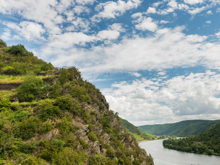 vineyard path near Karden