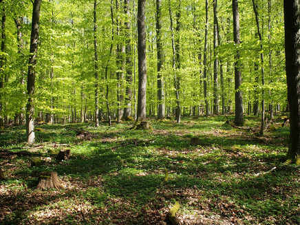 Unterwegs auf dem Kirchspiel Wanderweg