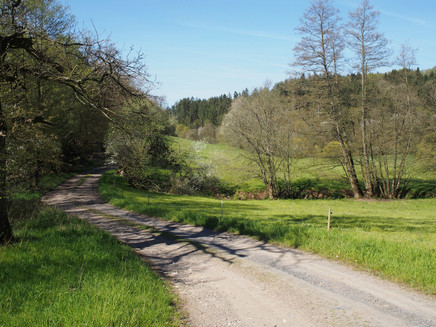 Unterwegs auf dem Kirchspiel Wanderweg