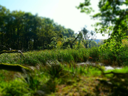 View of sinkhole on the Moselsteig