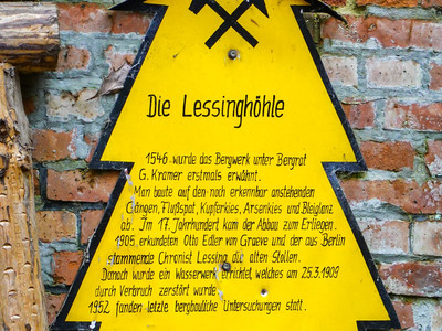 Dennert fir at the Lessing Cave