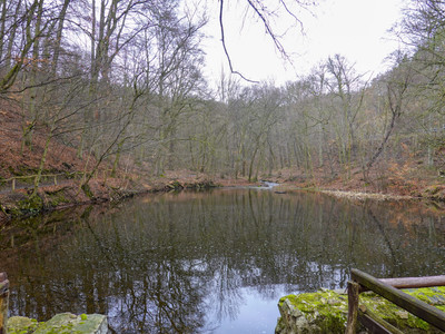 Reservoir pond in the Kalten Tal