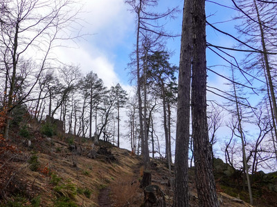 Ascent to the Anhalt Salstein