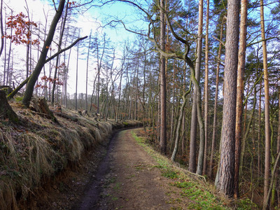 Route towards Spinne