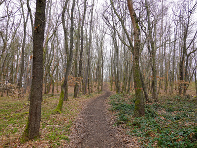 Path towards Preußenturm