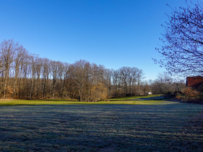 Elfenwiese in the morning